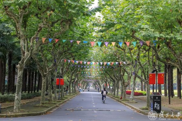 秋光温润，秋色正好，不妨漫步复旦校园