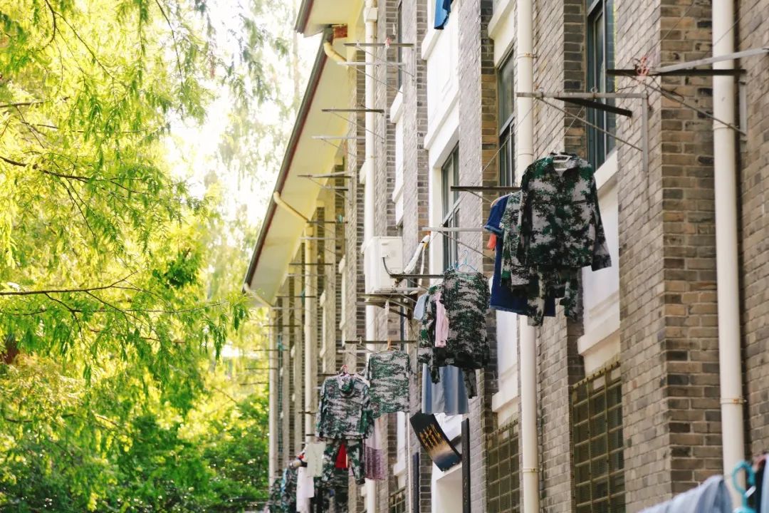 稍息!立正!军训首日,3500名复旦本科生就位