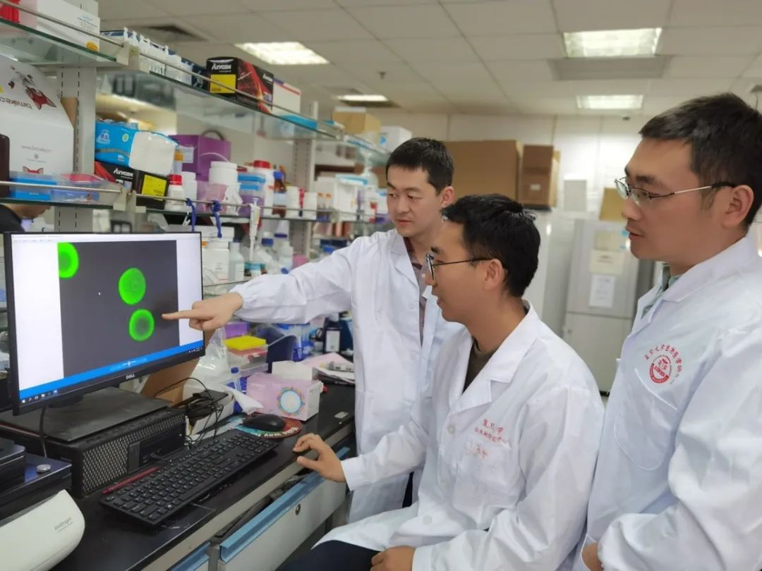 复旦大学王磊教授荣获中国青年科技奖特别奖