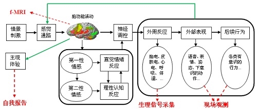 复旦大学戴伟辉团队实现基于现场观测信息的群体情感计算