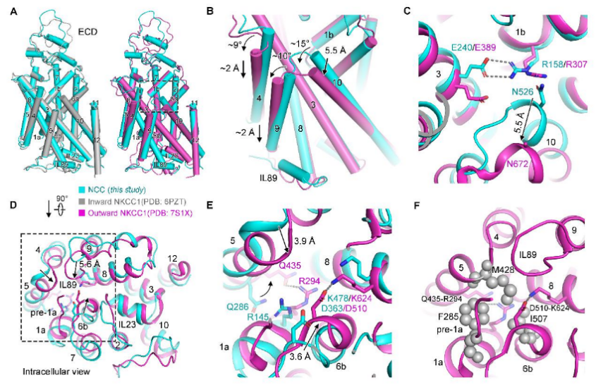 复旦上医2022年11月科研成果一览