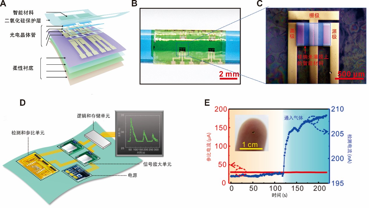 复旦大学材料科学系梅永丰课题组研发柔性薄膜组装集成芯片传感器