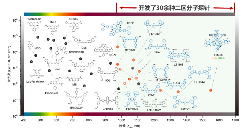 “科学探索奖”获得者张凡:做科研,没有捷径可走