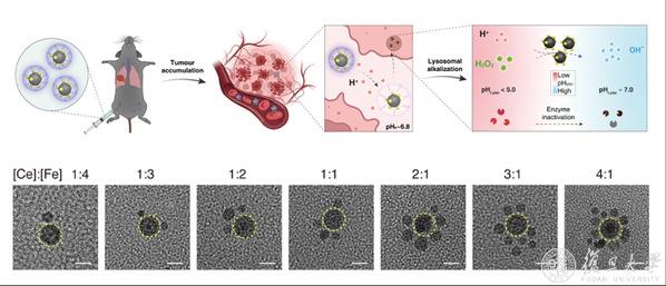 《逝世化危急：庇護傘小隊》淺析：沒有講可駭 隻挨槍