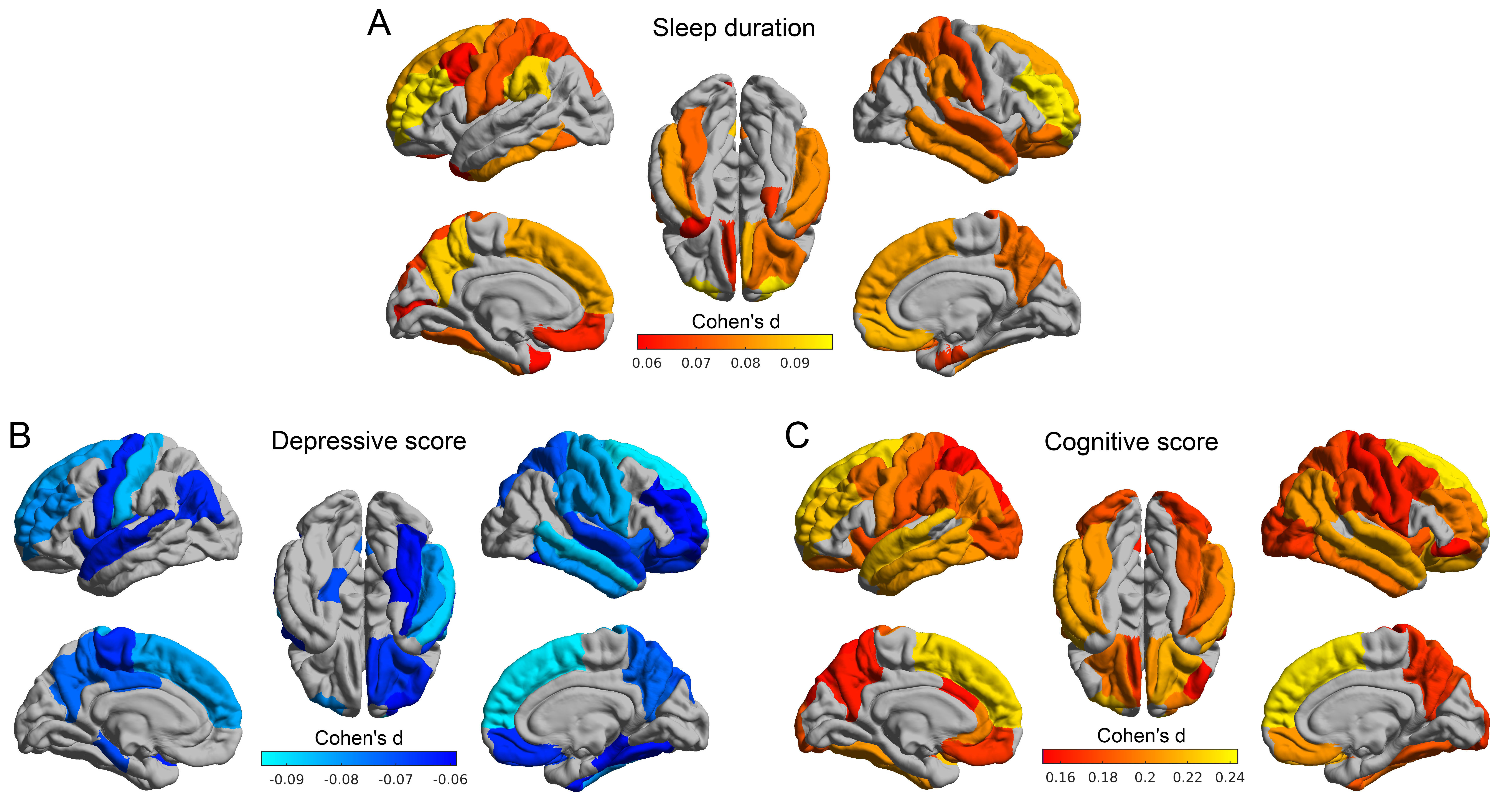 类脑研究院冯建峰课题组发现儿童睡眠时长与认知能力,心理健康的关系